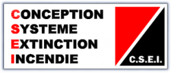 CSEI
